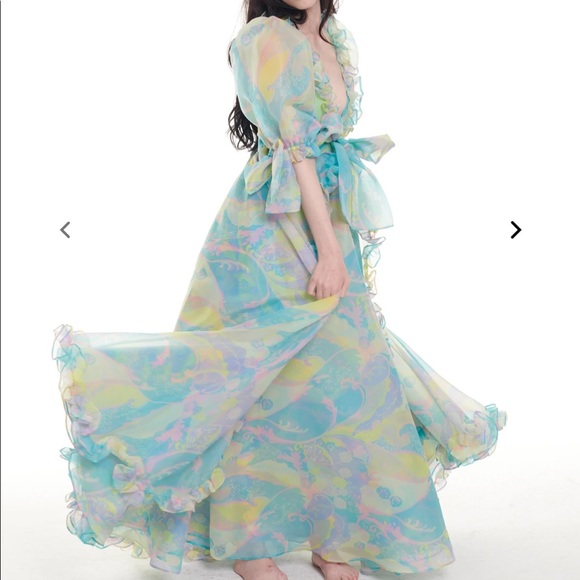 NWT 2X SELKIE Dress - The Electric Lady Marie Watercolor Gown - Picture 3 of 5